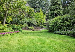 Optimiser l'expérience du jardin à Outrebois