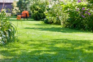 travaux jardin et paysage Outrebois